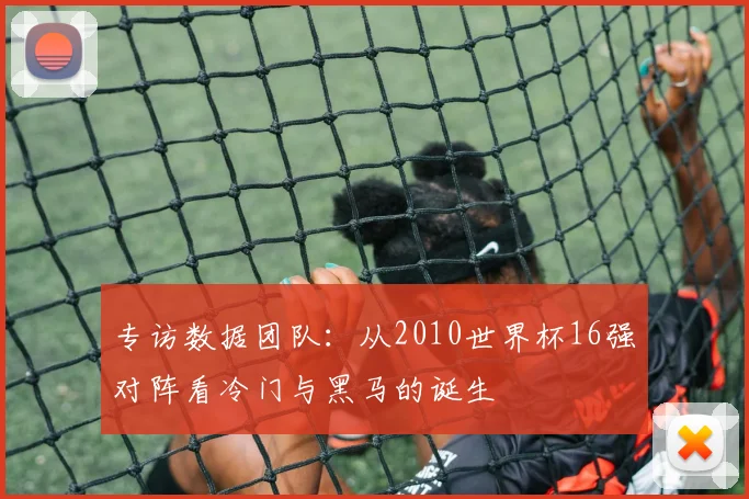 专访数据团队：从2010世界杯16强对阵看冷门与黑马的诞生
