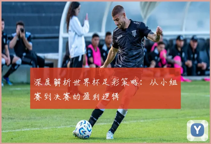 深度解析世界杯足彩策略：从小组赛到决赛的盈利逻辑